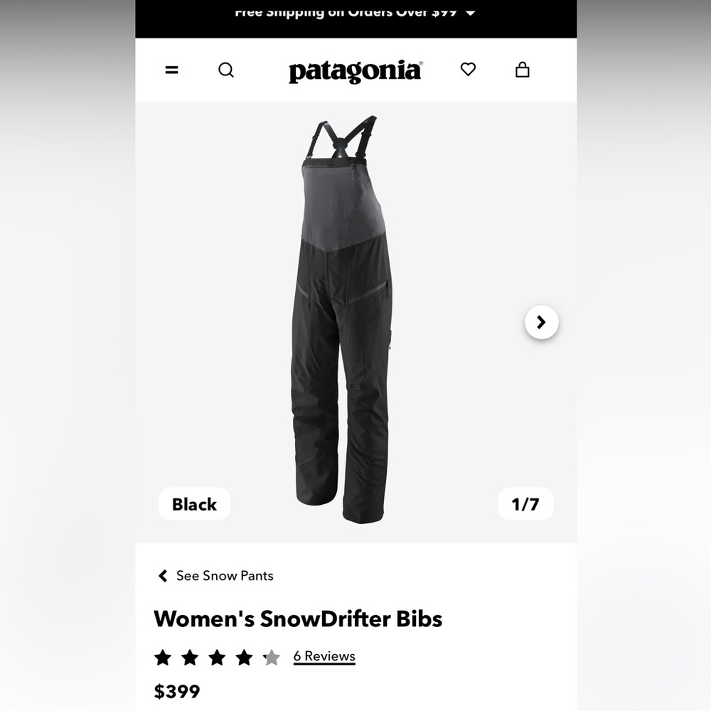 NWT Patagonia Snowdrifter Bibs Women’s Medium